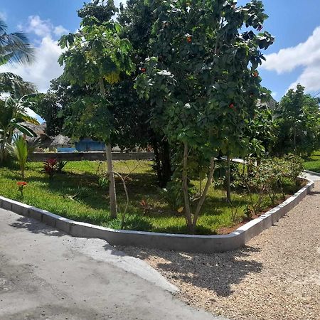 Africa Dream Bungalow Kiwengwa Hotel Kiwengwa  Ngoại thất bức ảnh