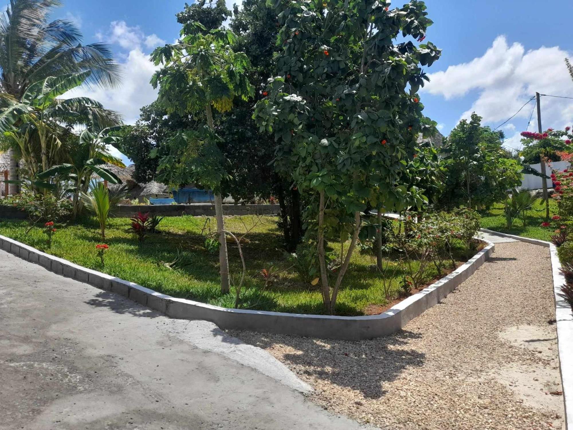 Africa Dream Bungalow Kiwengwa Hotel Kiwengwa  Ngoại thất bức ảnh