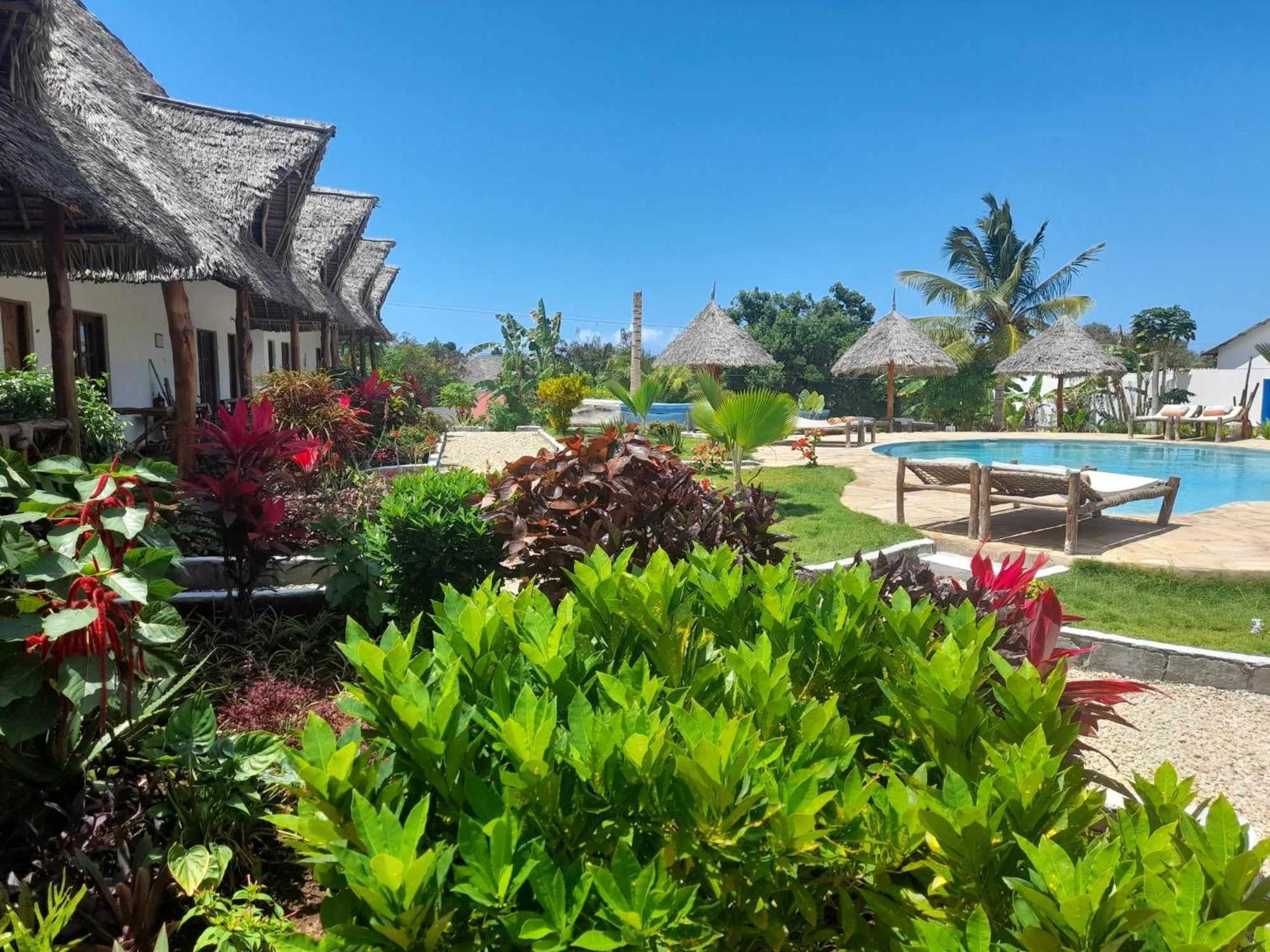 Africa Dream Bungalow Kiwengwa Hotel Kiwengwa  Ngoại thất bức ảnh