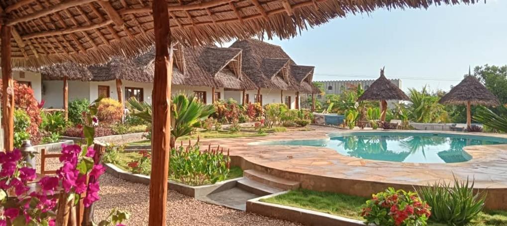 Africa Dream Bungalow Kiwengwa Hotel Kiwengwa  Ngoại thất bức ảnh