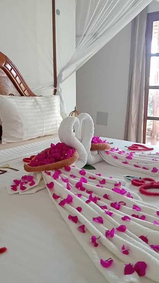 Africa Dream Bungalow Kiwengwa Hotel Kiwengwa  Ngoại thất bức ảnh